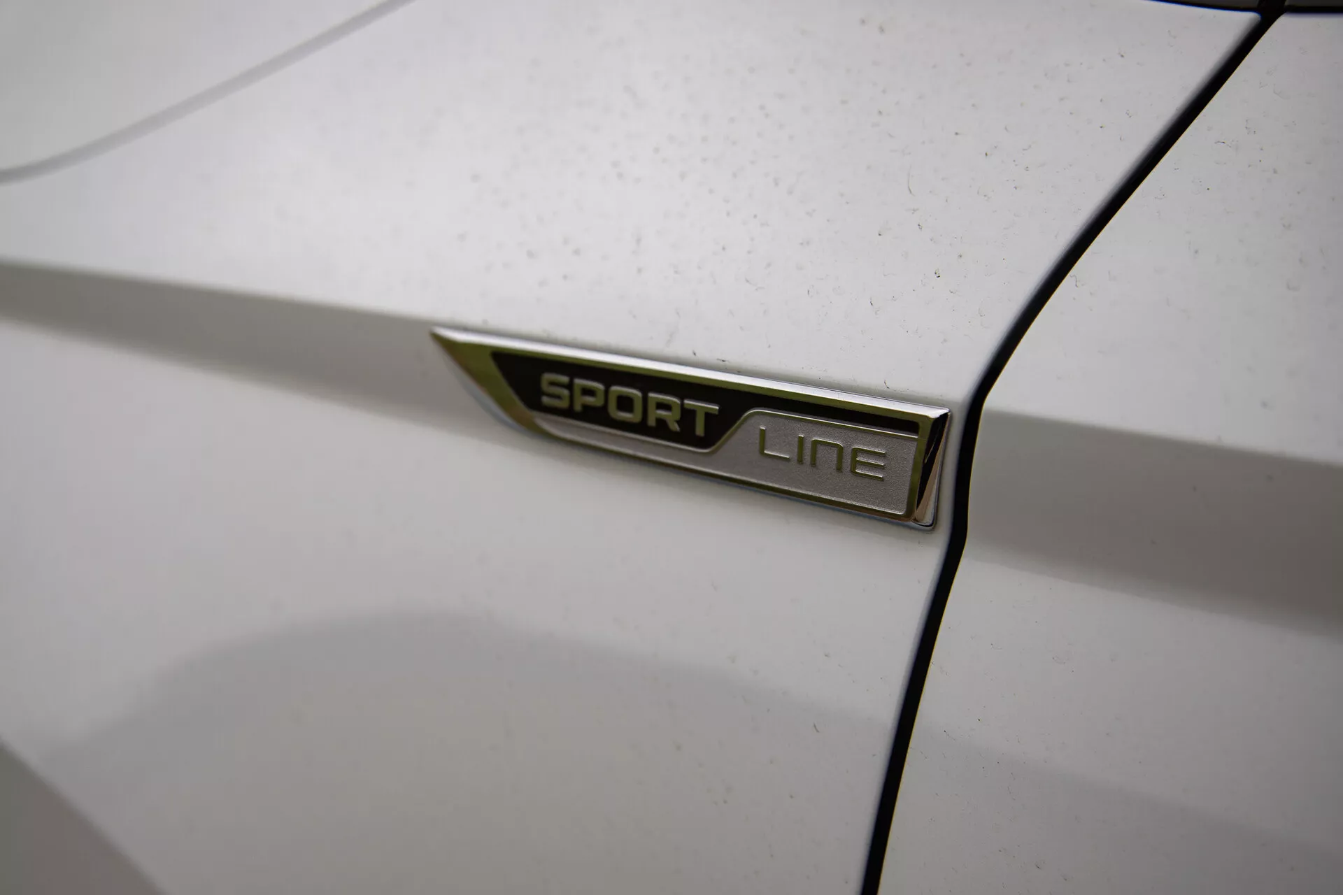 Detailní pohled na odznak SPORT LINE Škoda Karoq 2021 v tučném bezpatkovém písmu stříbrně se zeleným akcentem na karoserii auta, zobrazený pod šikmým úhlem s malou hloubkou ostrosti na bílém, mírně zaprášeném pozadí, zdůrazňující podrobnosti varianty modelu auta.