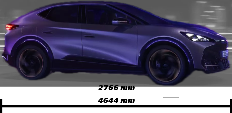 Annotated Image
