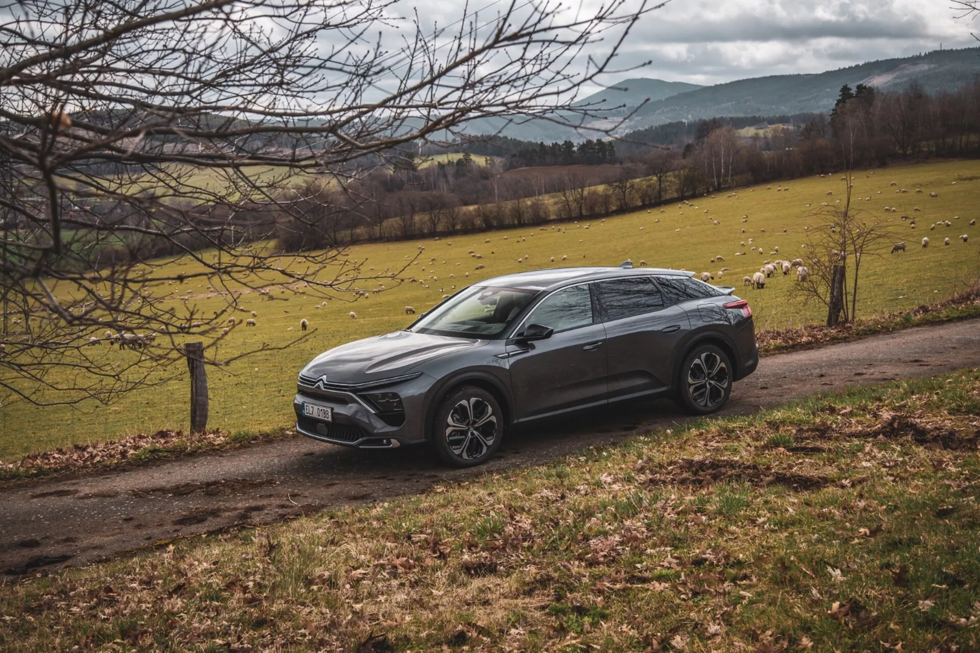 Citroën C5-X z roku 2022 parkovaný šikmo na venkovské krajině s loukou a stromy, ukazuje jeho zvýšený crossover design, ostré linie karoserie, tmavou barvu, slitinová kola a LED světlomety