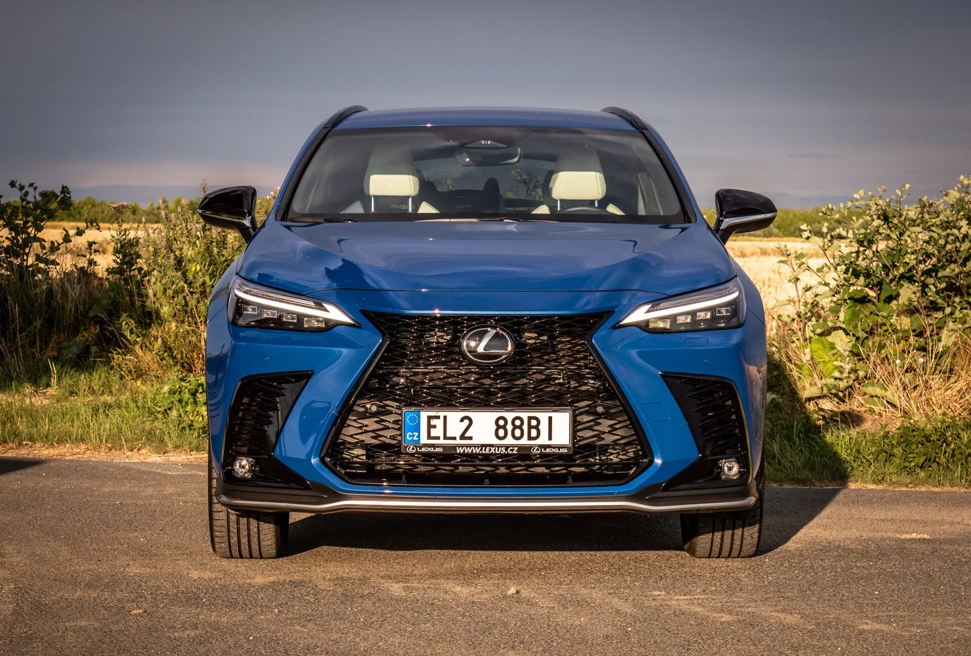 Přední pohled na Lexus NX 2021 ukazuje velkou mřížku, LED světlomety a poznávací značku se zaměřením na design a technologii v přírodním prostředí.